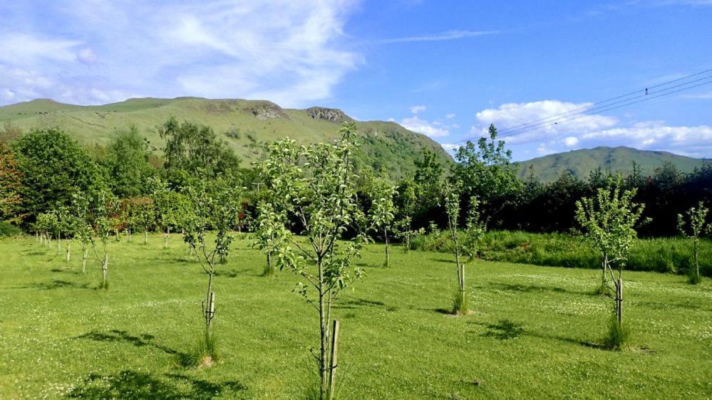 Foxglove Cottage Maybole ภายนอก รูปภาพ
